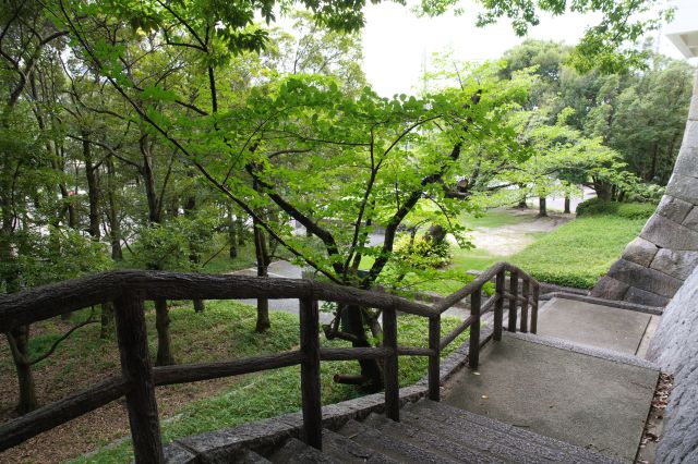 上って来た階段。周辺は美術館とを仕切るように緑豊か。