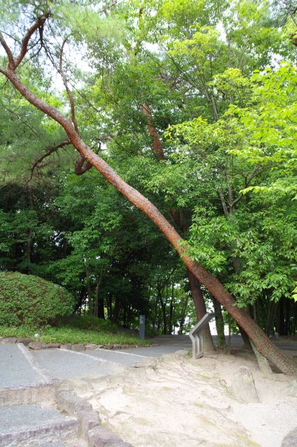 斜めの長い木が印象的。