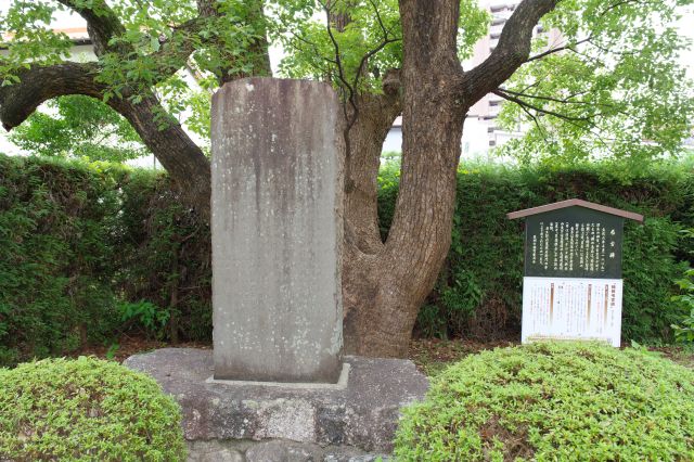 桶狭弔古碑があります。