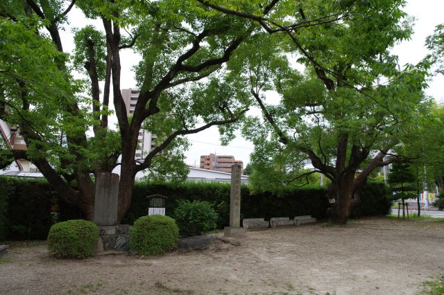 南端は石碑や巨木が集まります。