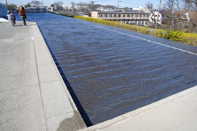 池の水がザーザーと音を立てます。