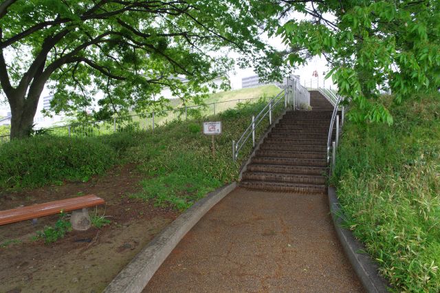 降りてきた階段。公園らしい雰囲気です。