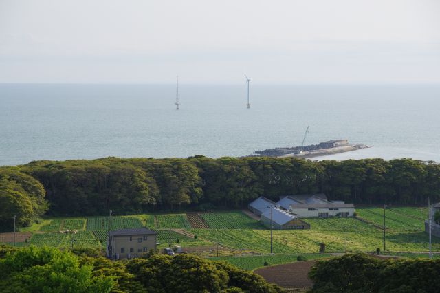 海には洋上風力発電所が立つ。