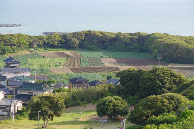 陸地には緑や畑があふれる。