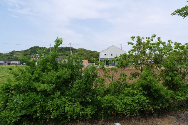 目の前は緑や畑ののどかな風景。