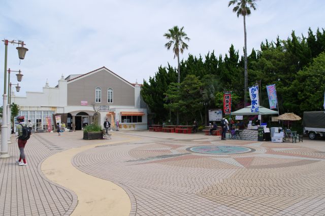 広い広場と木々、どこか南国風でもあります。