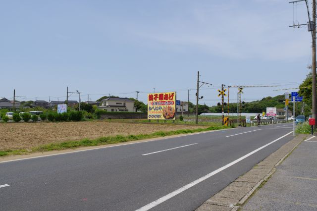 道路に出て踏切方面、畑や住宅が点在するのどかな風景です。