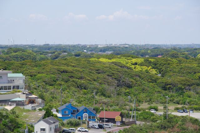 緑が連なる丘陵地が続きます。