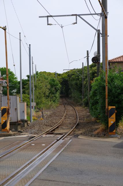 踏切の先の線路はしばらく木々の中を走ります。