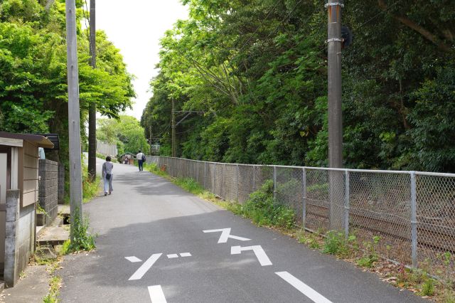 左は小学校がある線路沿いの道、線路側は緑が迫ります。