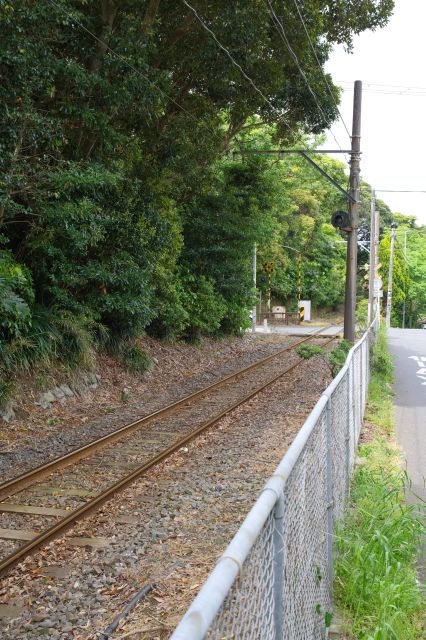列車は少なく静かな線路沿い。