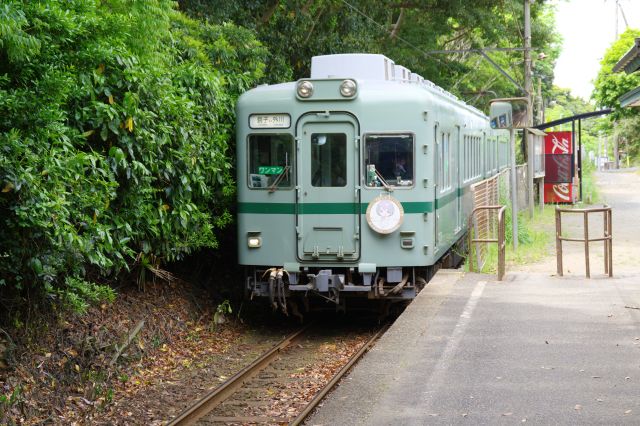 時間になり列車が接近、元南海電鉄の2両編成です。