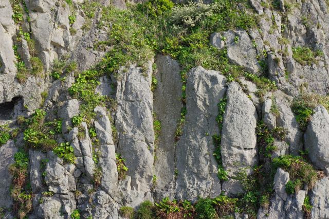 岩壁と緑の混在。