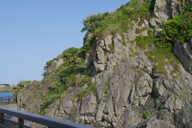 地質的にも貴重な岩です。