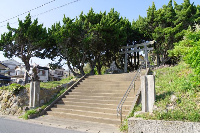 大杉神社から海沿いの道へ進みます。