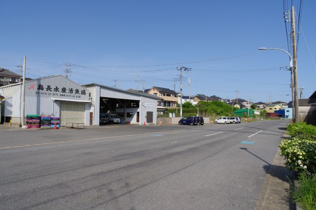 静かな広い道路で陸側に住宅街が続きます。
