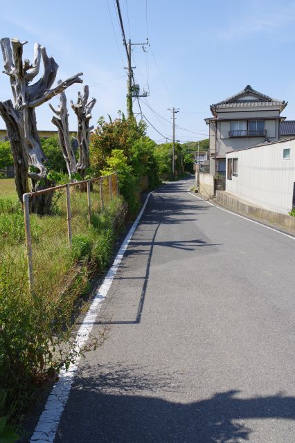 どのかな住宅街を歩きます。