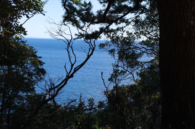 木々の切れ間から見える左側の海。