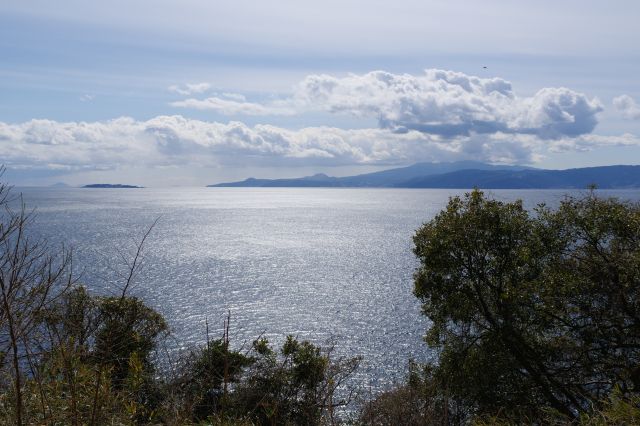 正面に伊豆半島の先(中央に小室山も)、初島が見えます。