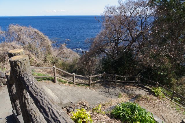 真鶴岬から急斜面の階段を下ってきました(途中のカフェ前)。