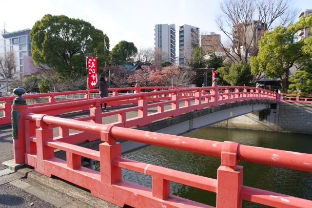 鎮守橋・荏原神社の写真ページ