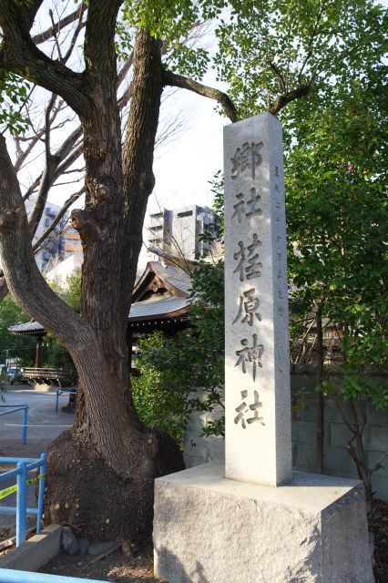 荏原神社の石碑。歴史のある古社です。