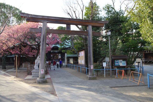 橋に対して斜め向きの荏原神社、境内はコンパクトです。