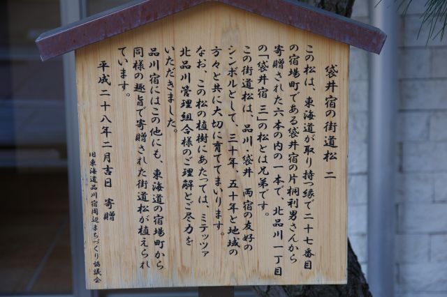 「袋井宿の街道松二」、他の宿場から寄贈された街道松が点在。