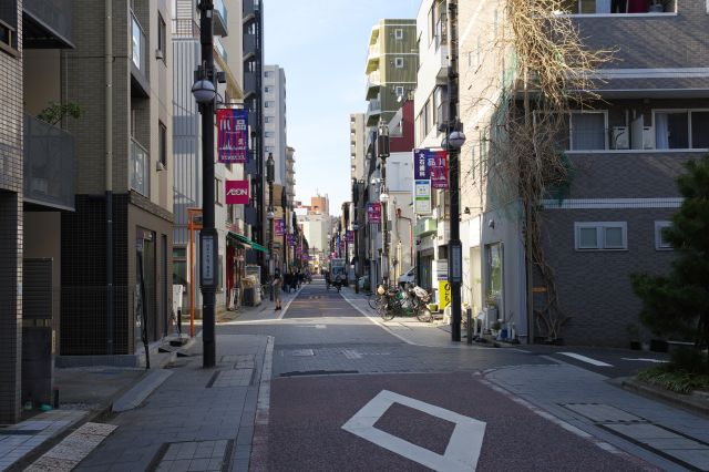 元来た道を振り返る、ほぼまっすぐの道。