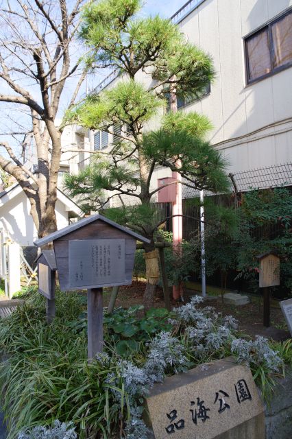 松の木と様々な立札があります。
