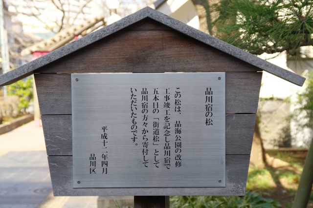 「品川宿の松」の立札。