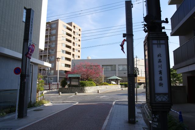 目黒川を渡る品川橋へ、この先は南品川宿となります。