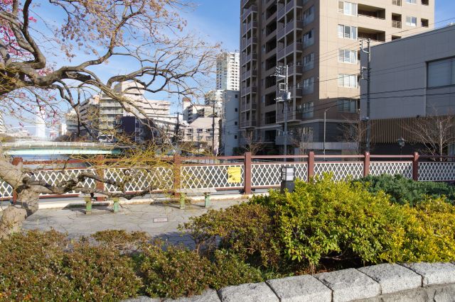 日当たりが良く、橋の欄干や木や緑など庭園を思わせます。