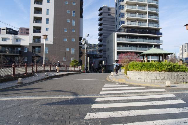 南側から眺める品川橋。