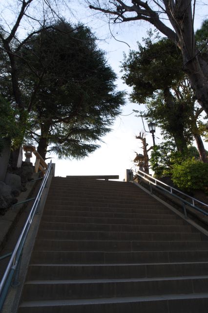 見上げる急な階段です。